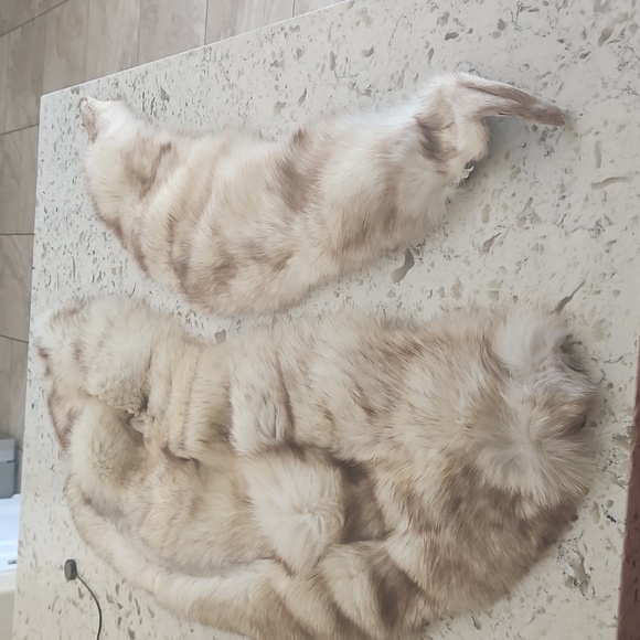 Fox Fur Luxurious 3pcs NWOT Genuine Hat, Cape and Scarf - Picture 13 of 14